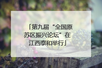 第九届“全国原苏区振兴论坛”在江西泰和举行