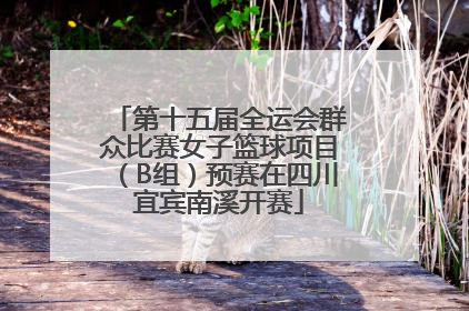 第十五届全运会群众比赛女子篮球项目（B组）预赛在四川宜宾南溪开赛