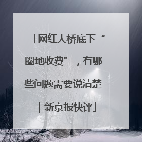 网红大桥底下“圈地收费”，有哪些问题需要说清楚｜新京报快评