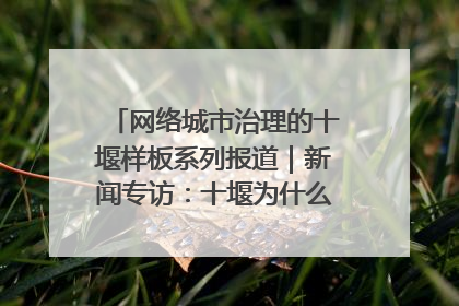 网络城市治理的十堰样板系列报道｜新闻专访：十堰为什么成为“黑马型”城市治理网络维度典型