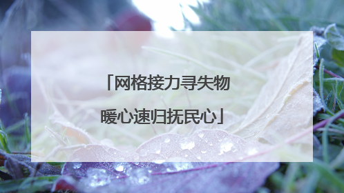 网格接力寻失物 暖心速归抚民心