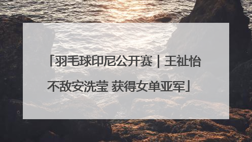 羽毛球印尼公开赛|王祉怡不敌安洗莹 获得女单亚军