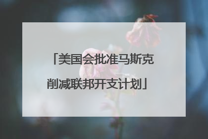 美国会批准马斯克削减联邦开支计划