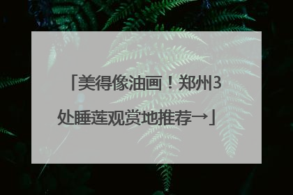 美得像油画！郑州3处睡莲观赏地推荐→