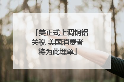 美正式上调钢铝关税 美国消费者将为此埋单