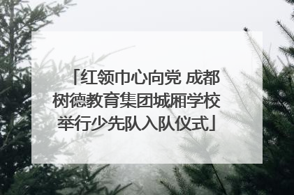 红领巾心向党 成都树德教育集团城厢学校举行少先队入队仪式