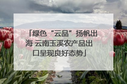 绿色“云品”扬帆出海 云南玉溪农产品出口呈现良好态势
