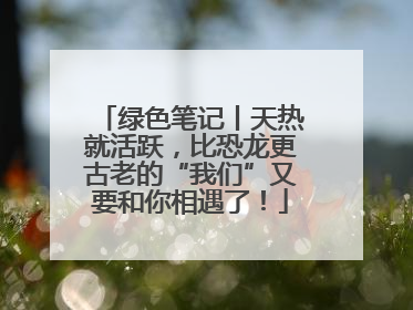 绿色笔记丨天热就活跃，比恐龙更古老的“我们”又要和你相遇了！