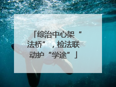 综治中心架“法桥”，检法联动护“学途”
