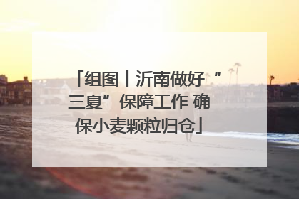 组图丨沂南做好“三夏”保障工作 确保小麦颗粒归仓