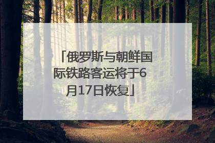 俄罗斯与朝鲜国际铁路客运将于6月17日恢复