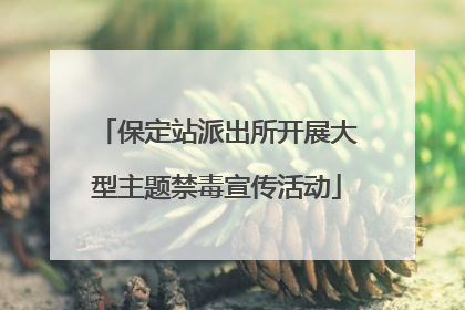 保定站派出所开展大型主题禁毒宣传活动