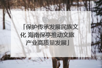 保护传承发展民族文化 海南保亭推动文旅产业高质量发展