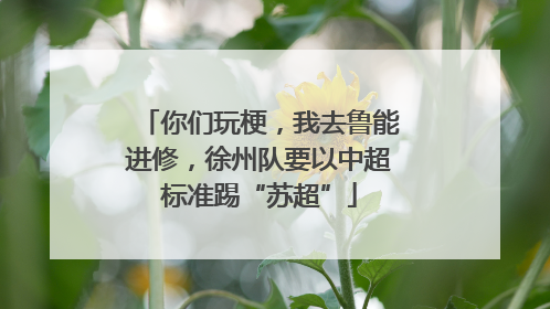 你们玩梗，我去鲁能进修，徐州队要以中超标准踢“苏超”