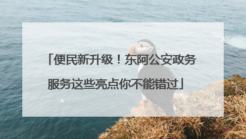 便民新升级！东阿公安政务服务这些亮点你不能错过