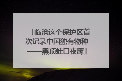 临沧这个保护区首次记录中国独有物种——黑顶蛙口夜鹰