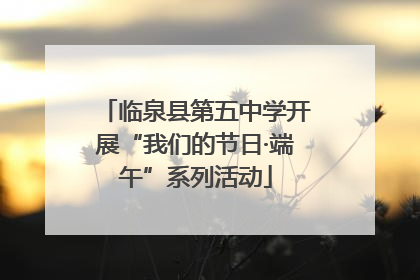 临泉县第五中学开展“我们的节日·端午”系列活动