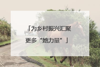 为乡村振兴汇聚更多“她力量”