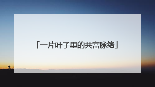 一片叶子里的共富脉络