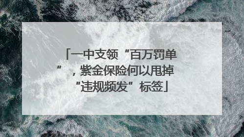 一中支领“百万罚单”，紫金保险何以甩掉“违规频发”标签