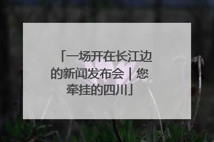 一场开在长江边的新闻发布会｜您牵挂的四川