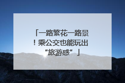 一路繁花一路景！乘公交也能玩出“旅游感”