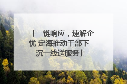 一链响应，速解企忧 定海推动干部下沉一线送服务