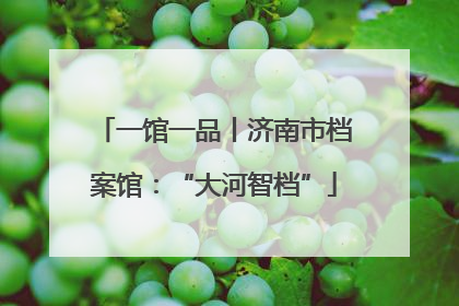 一馆一品丨济南市档案馆：“大河智档”