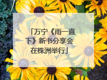 万宁《雨一直下》新书分享会在株洲举行