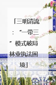 三明清流：“一带三”模式破局林业执法困境