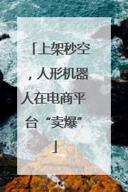 上架秒空，人形机器人在电商平台“卖爆”