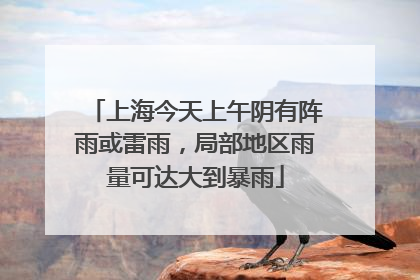 上海今天上午阴有阵雨或雷雨，局部地区雨量可达大到暴雨