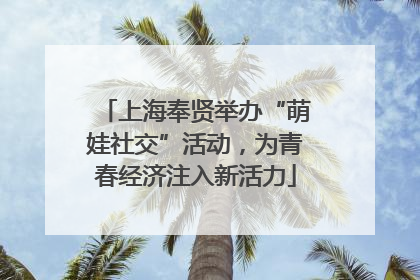 上海奉贤举办“萌娃社交”活动，为青春经济注入新活力