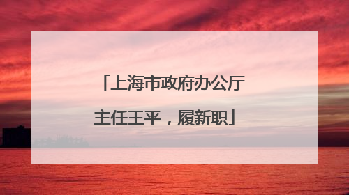 上海市政府办公厅主任王平,履新职