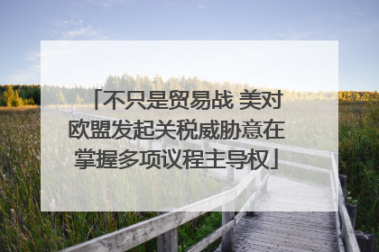 不只是贸易战 美对欧盟发起关税威胁意在掌握多项议程主导权