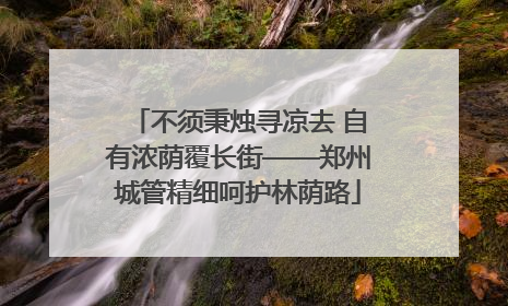 不须秉烛寻凉去 自有浓荫覆长街——郑州城管精细呵护林荫路