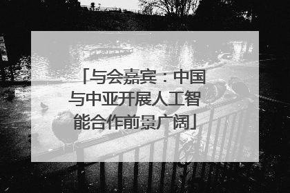 与会嘉宾：中国与中亚开展人工智能合作前景广阔