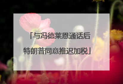 与冯德莱恩通话后 特朗普同意推迟加税