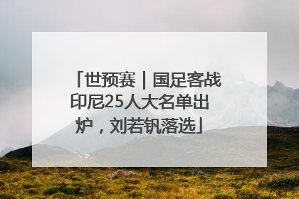 世预赛｜国足客战印尼25人大名单出炉，刘若钒落选