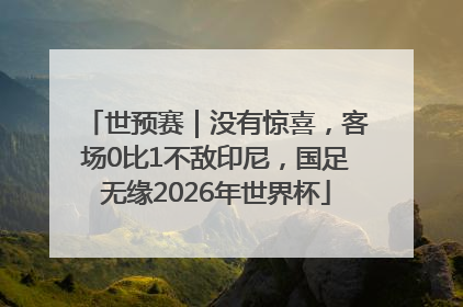 世预赛｜没有惊喜，客场0比1不敌印尼，国足无缘2026年世界杯