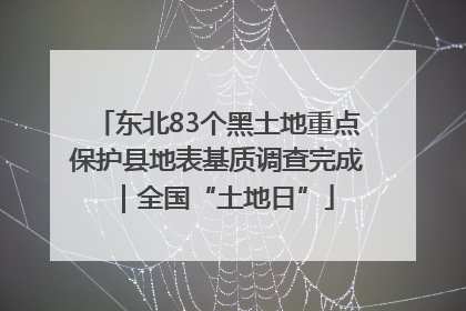东北83个黑土地重点保护县地表基质调查完成｜全国“土地日”