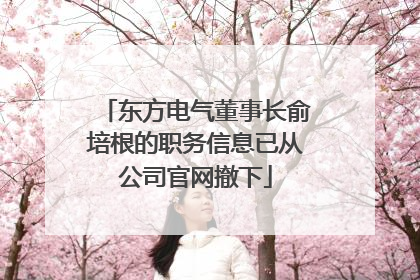 东方电气董事长俞培根的职务信息已从公司官网撤下