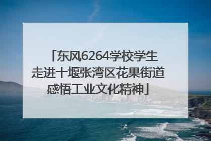 东风6264学校学生走进十堰张湾区花果街道感悟工业文化精神