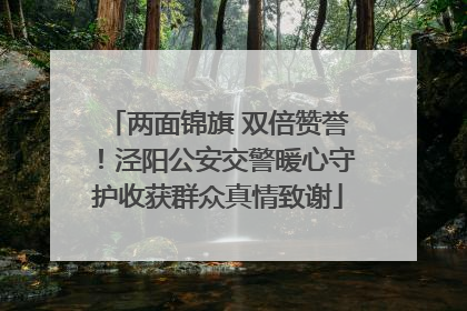 两面锦旗 双倍赞誉！泾阳公安交警暖心守护收获群众真情致谢