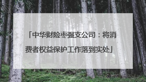 中华财险枣强支公司：将消费者权益保护工作落到实处