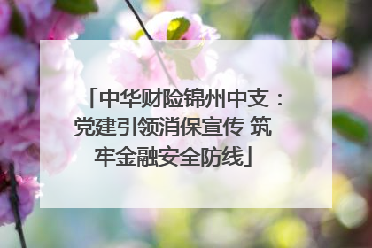 中华财险锦州中支：党建引领消保宣传 筑牢金融安全防线