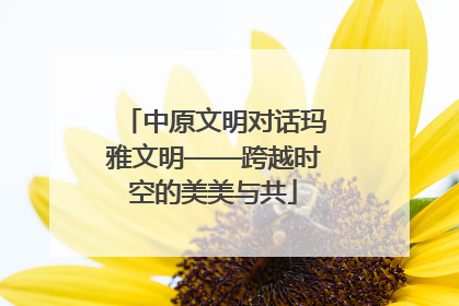 中原文明对话玛雅文明——跨越时空的美美与共