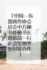 中国—东盟商务协会总会中方秘书处秘书长鹿德晶一行赴滨实地考察对接合作