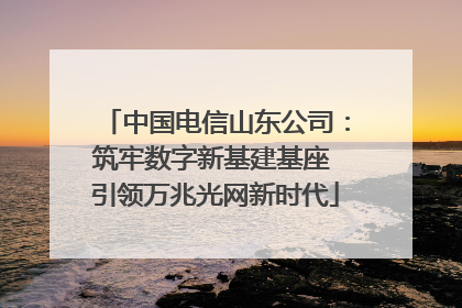 中国电信山东公司：筑牢数字新基建基座 引领万兆光网新时代