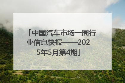 中国汽车市场一周行业信息快报——2025年5月第4期